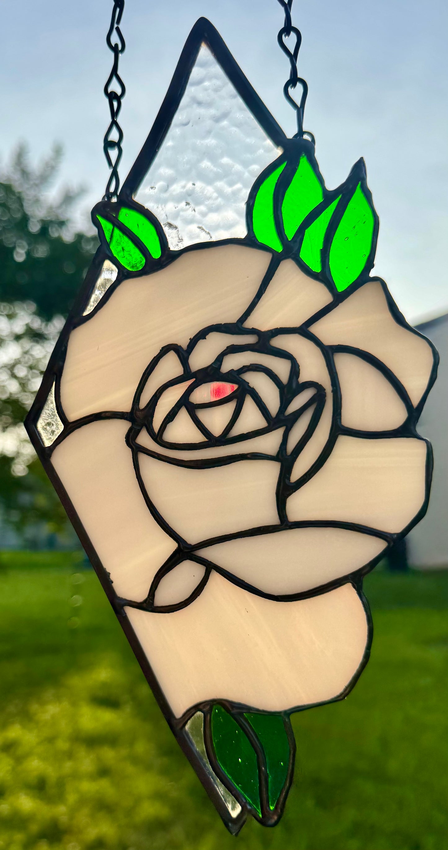 The White Rose