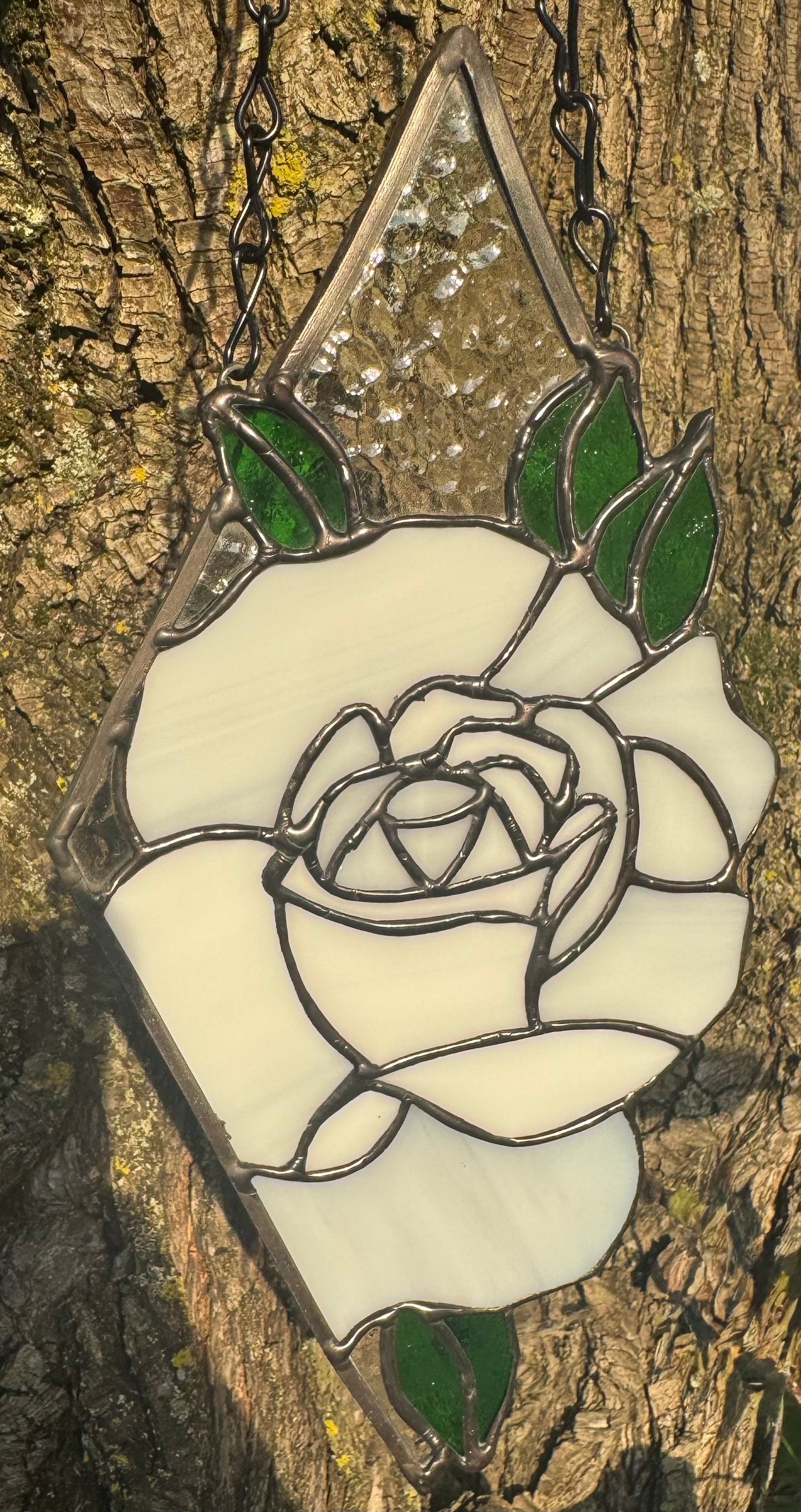 The White Rose