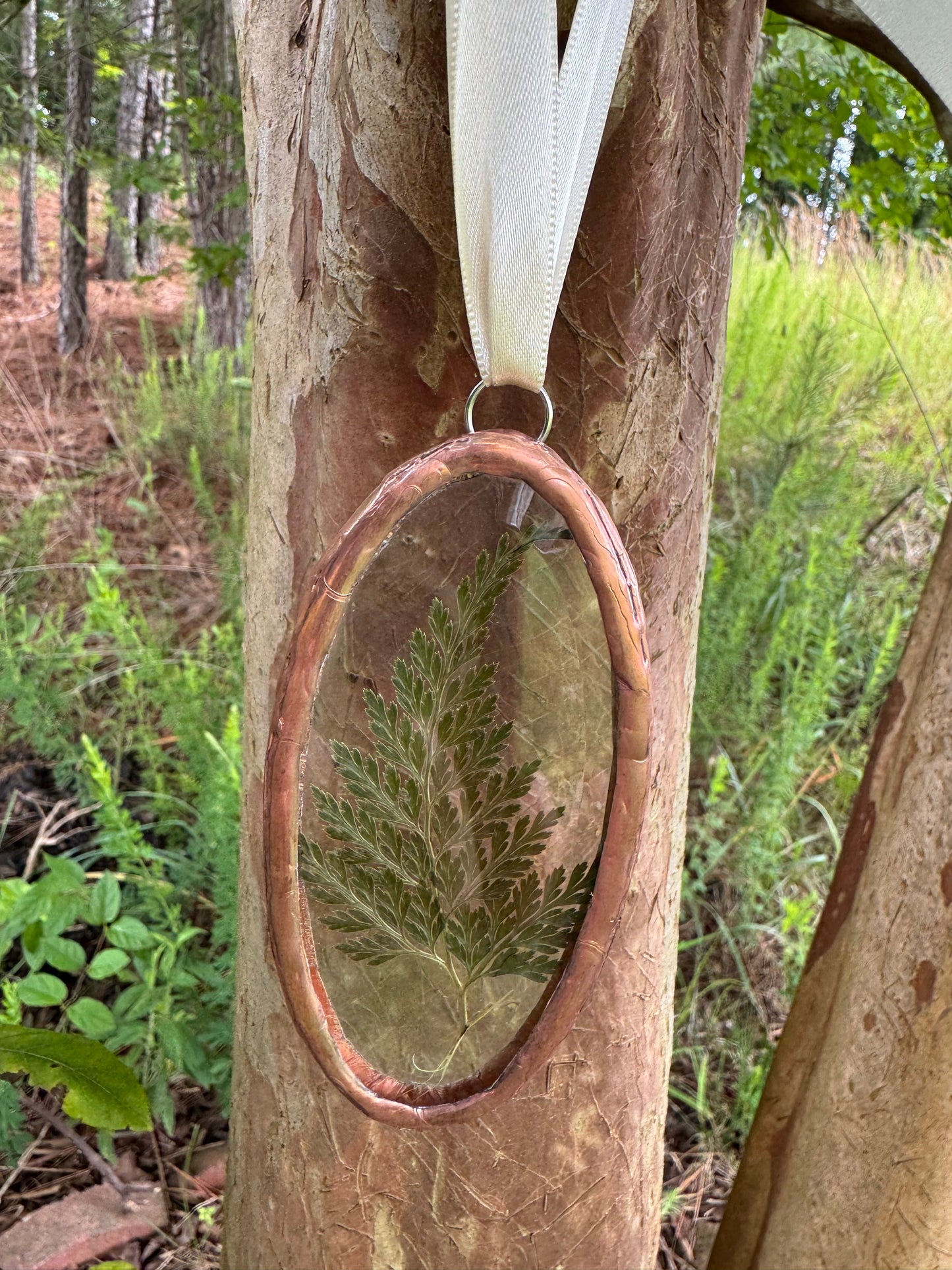 Dried Fern Sun Catcher