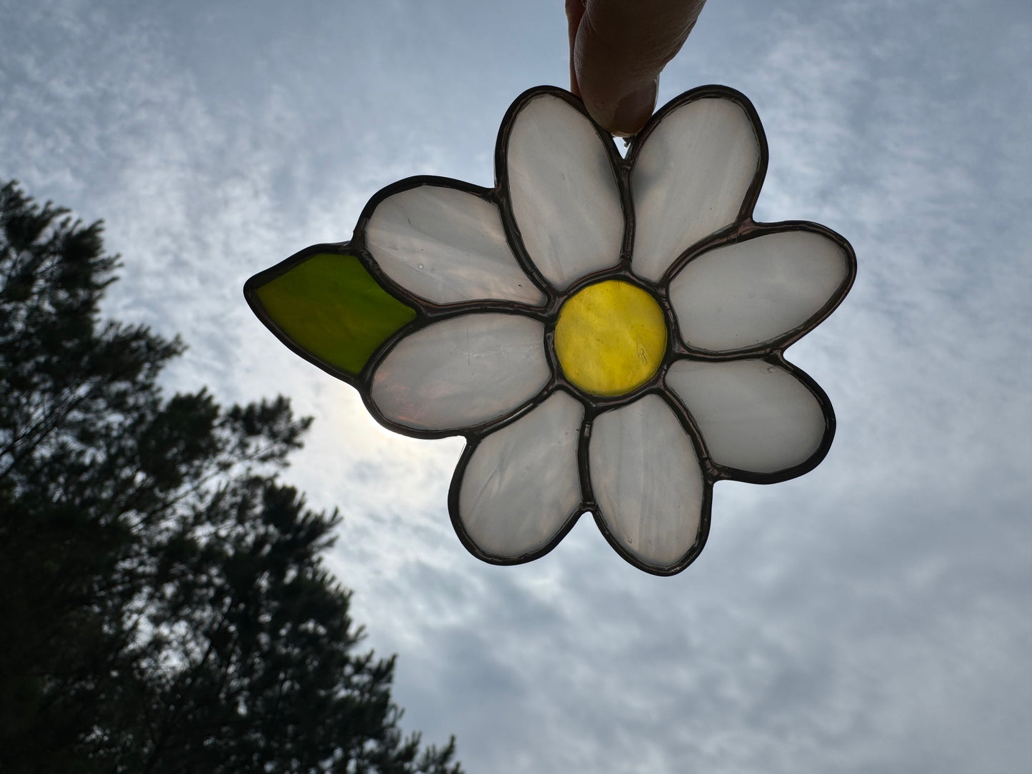 Daisy Sun-Catcher