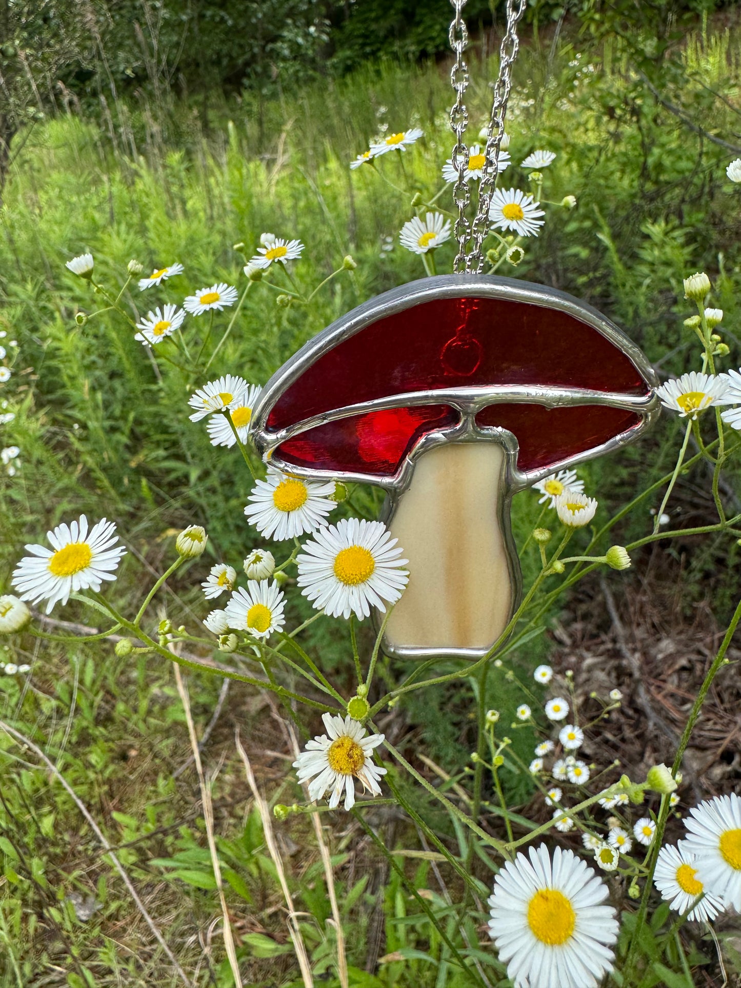 Mini Cutie Mushroom