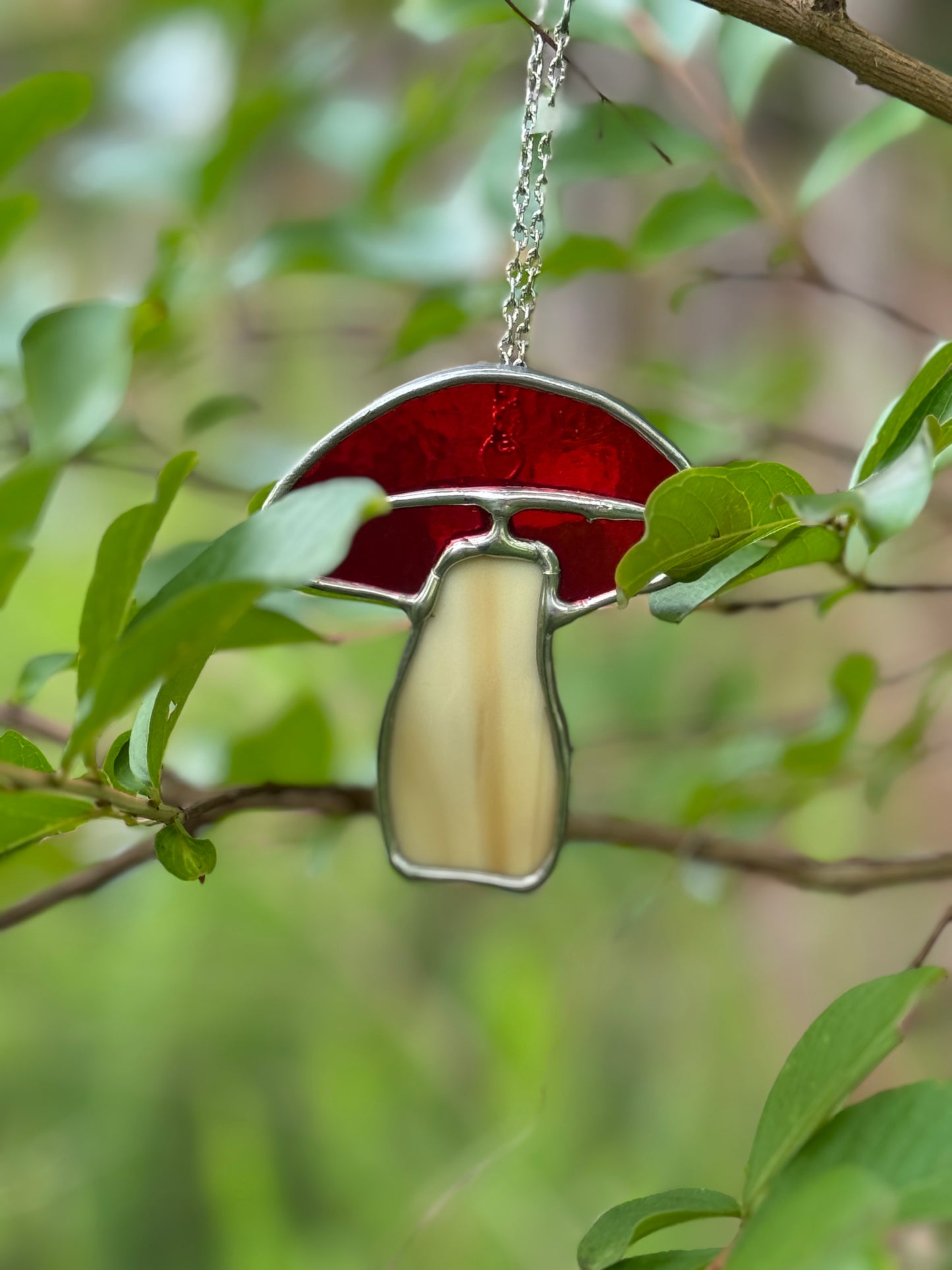 Mini Cutie Mushroom