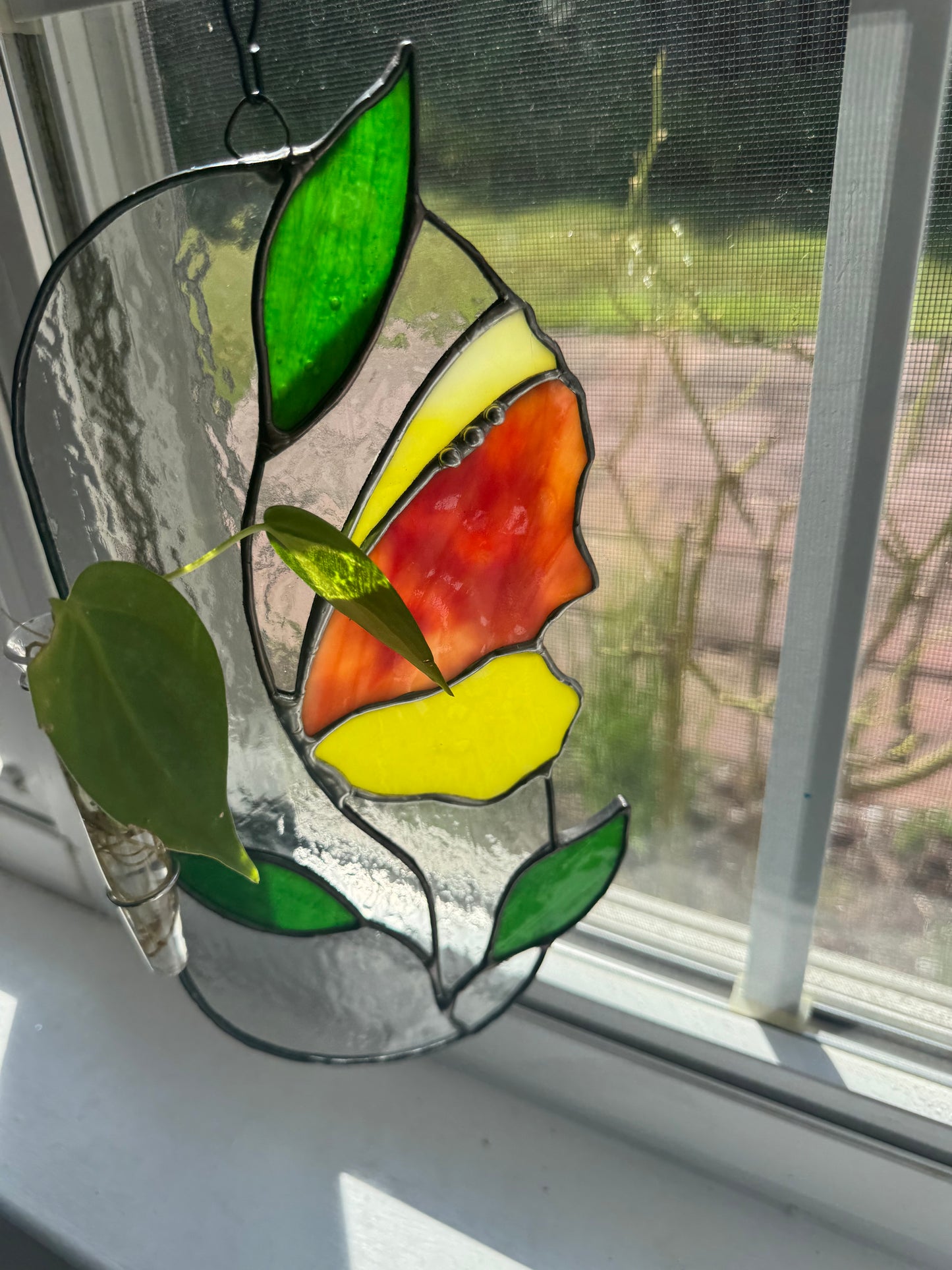 Stained Glass Propagation Sun-catcher