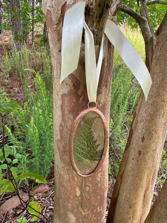 Dried Fern Sun Catcher