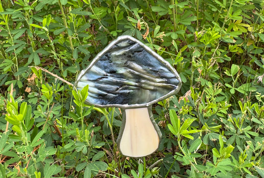 One of a Kind Mushroom