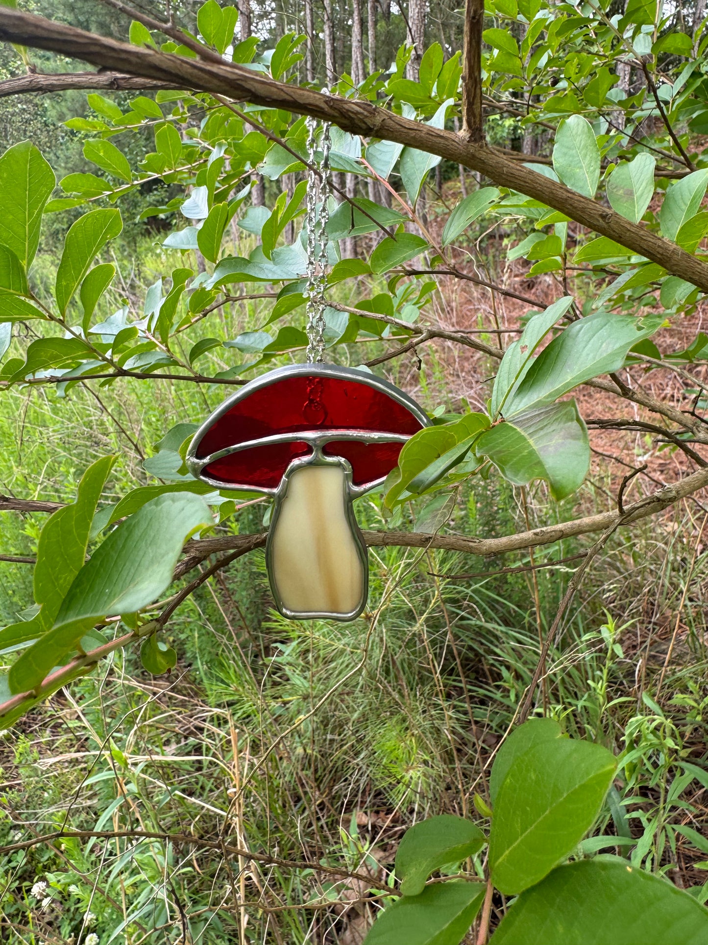 Mini Cutie Mushroom