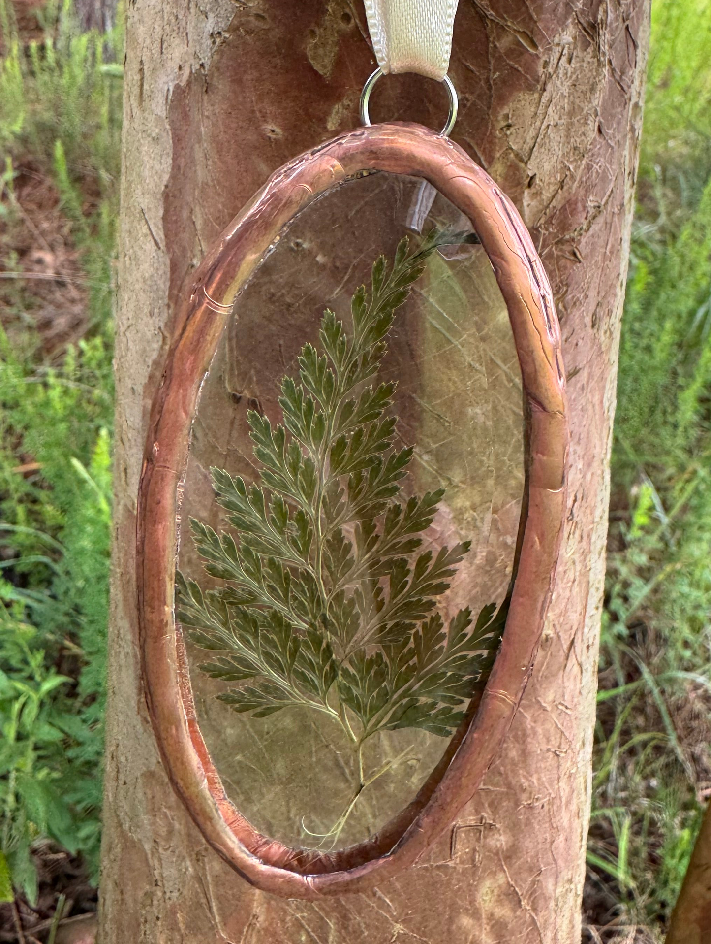 Dried Fern Sun Catcher